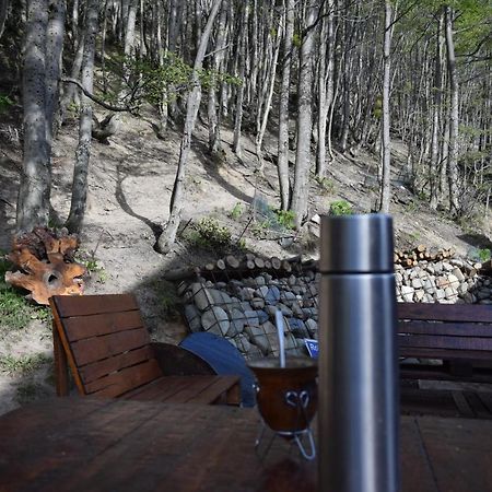 Cabana Suenos Del Fin Del Mundo Ushuaia Bagian luar foto